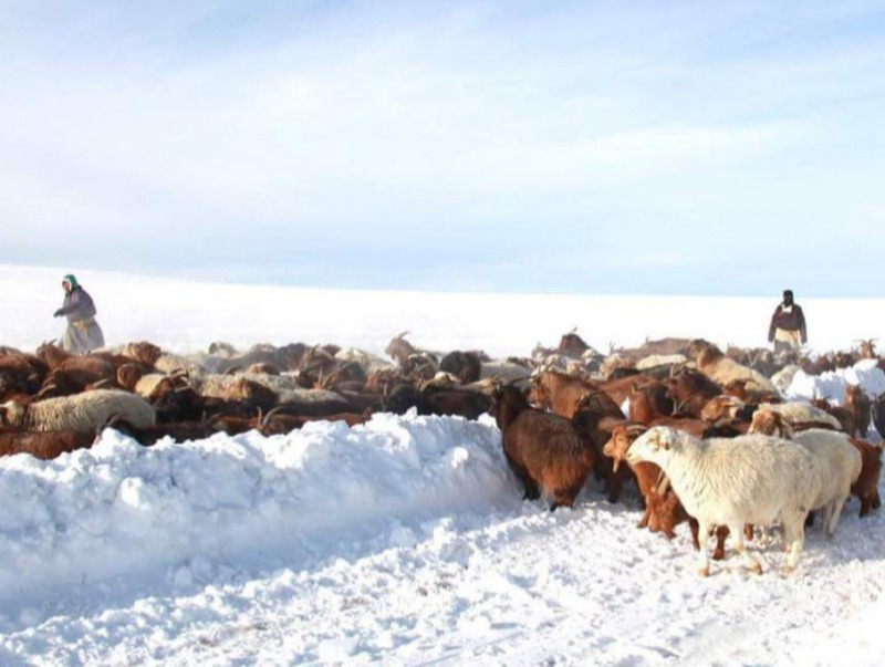 Зудын урьдчилсан төлөвийг тооцоолон гаргалаа